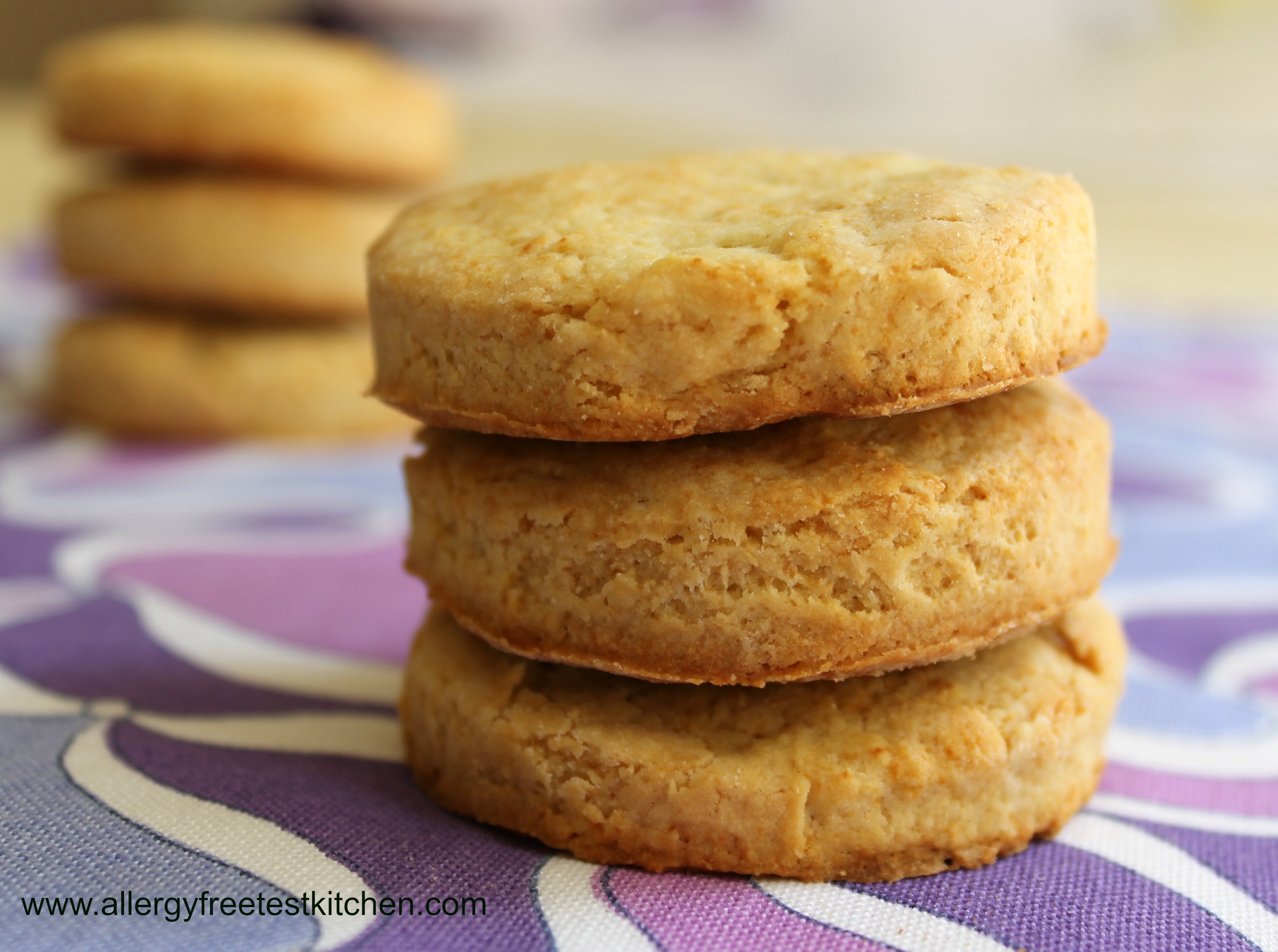 Bob's red mill outlet gluten free biscuits