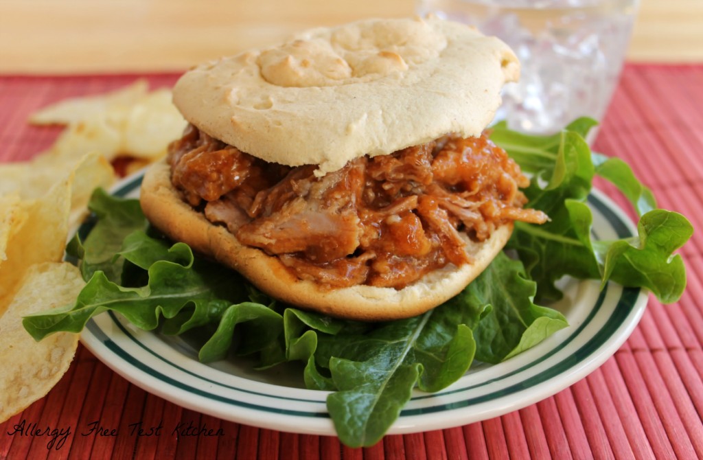 Blog-Shredded Pork