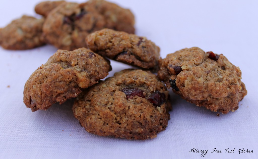 Blog-Oatmeal Cranberry Cookies