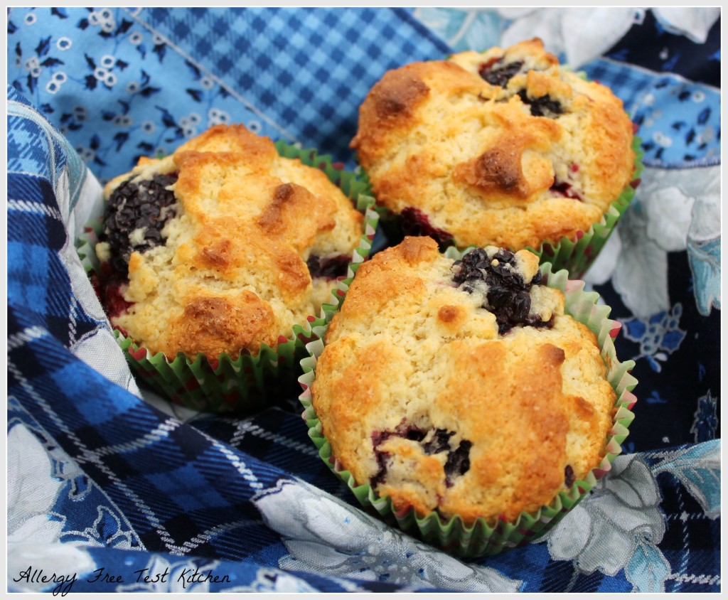 Blog-Blackberry Muffin1