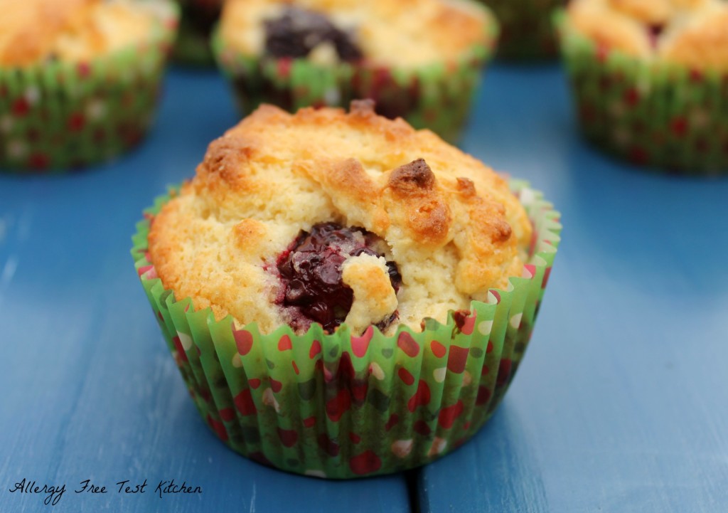 Blog-Blackberry Muffin2