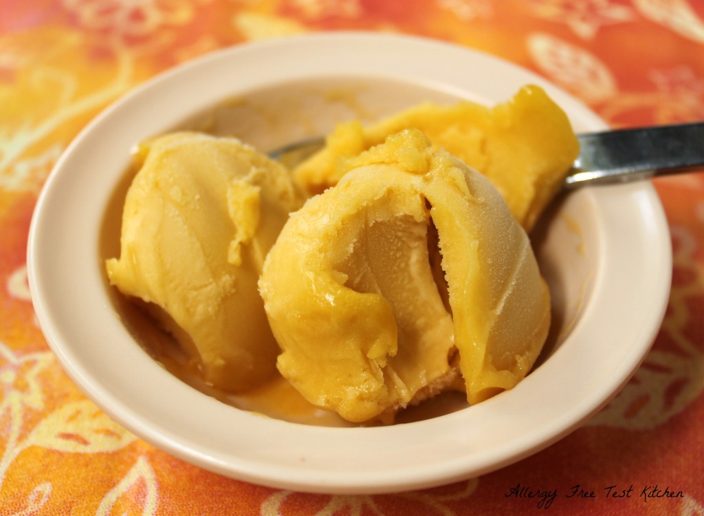 Blog-Mango Sorbet1