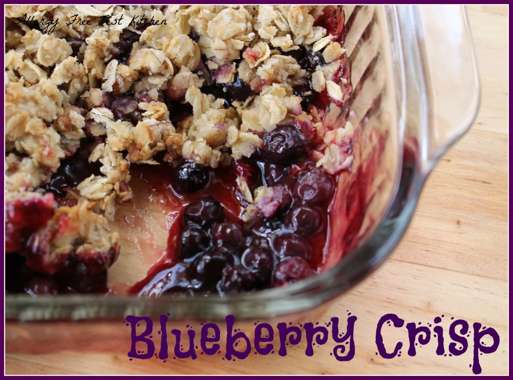 Blog-Blueberry Crisp