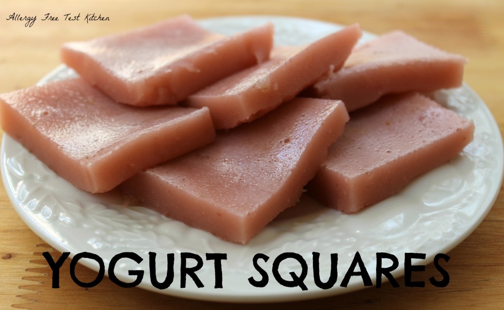 Blog-Yogurt Squares