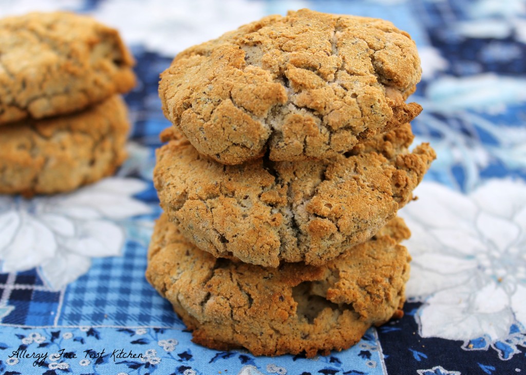 Blog-Grain Free Biscuits