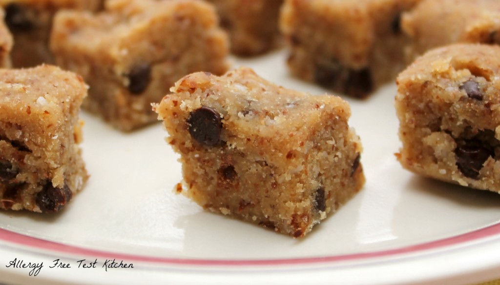 Blog-Grain Free Raw Cookie Dough Bits