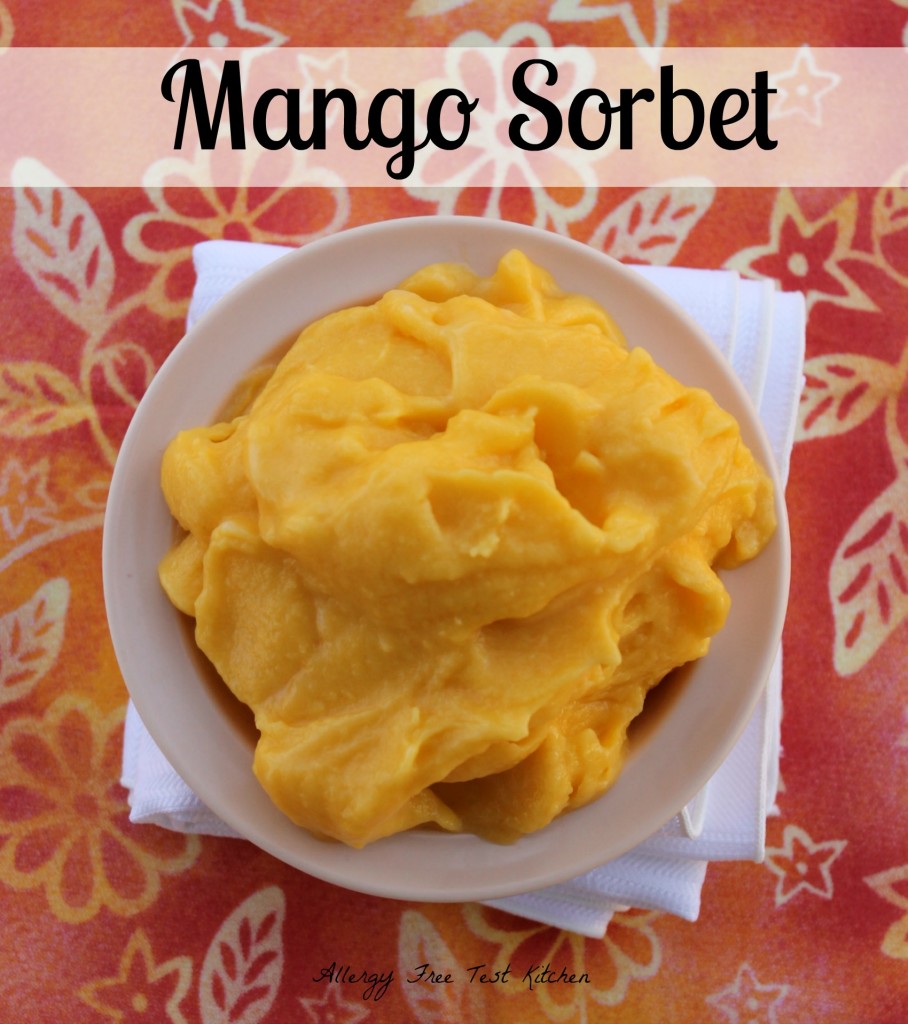 Blog-Mango Sorbet1