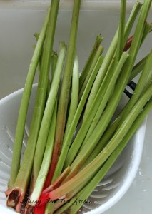 Blog-Rhubarb1