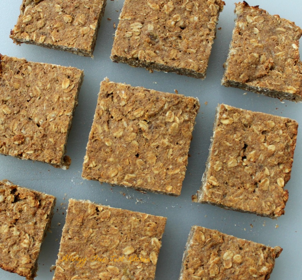 Blog-Breakfast Bars2