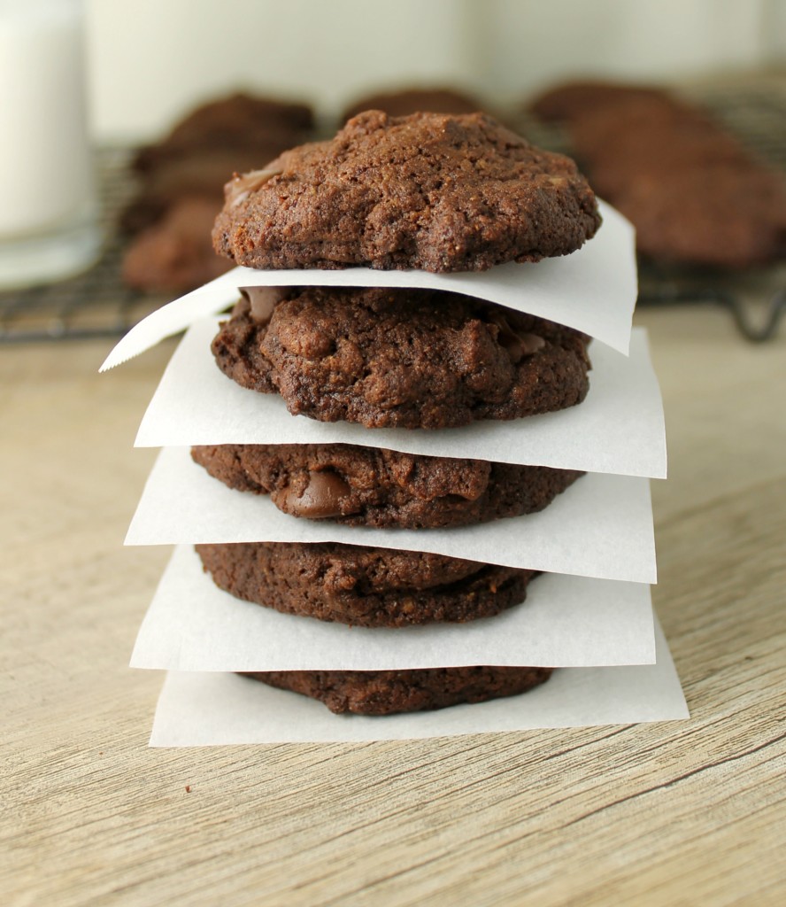 Double Chocolate Cookies