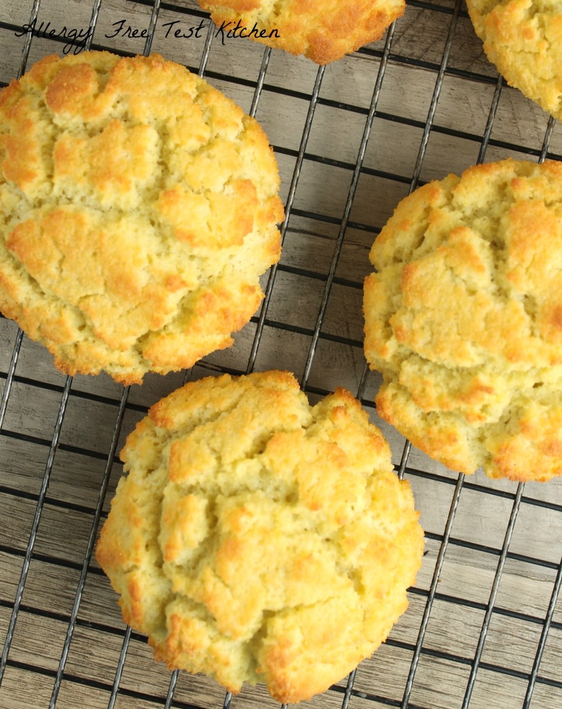 Grain Free Biscuit2