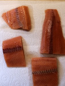 Salmon4