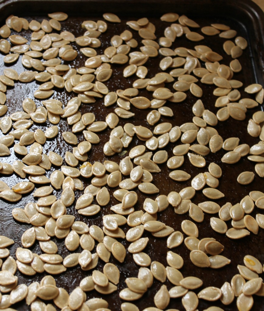 How To Roast Pumpkin Seeds - A Photo Tutorial - LIVING FREE HEALTH AND LIFE